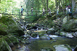 Schwäbischer Albverein Remshalden im Bayerischen Wald